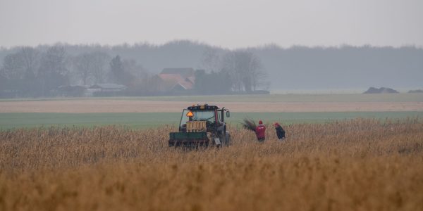 Aanplant Marc en Margot