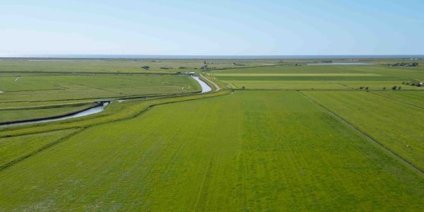 DJI_0065