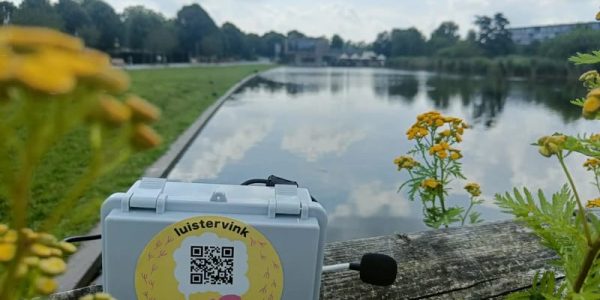 Luistervink Griftpark