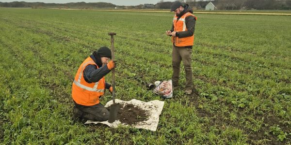 Wormentelling veld werk