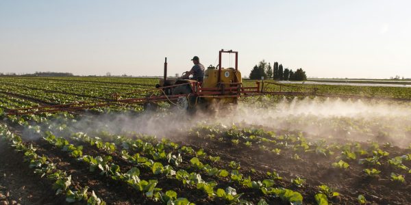 pexels-stitch-20280076